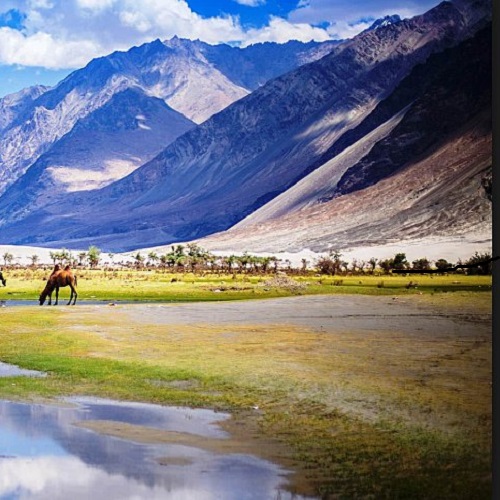 Nubra Valley